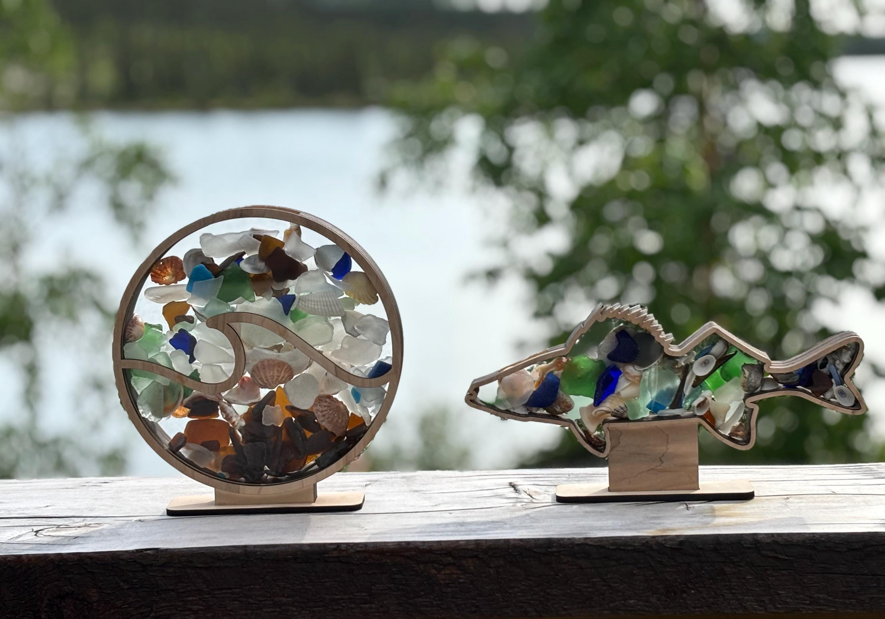貝の置物 Sea Glass Display Box | Sea Glass Display Case | Shell Display