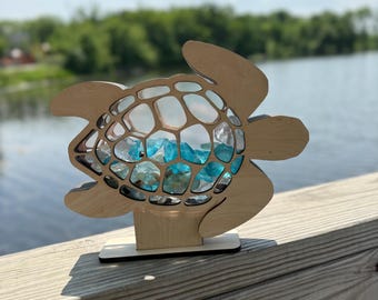 Exhibición de vidrio marino de tortuga marina, exhibición de vidrio de playa, exhibición de conchas