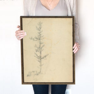 May include: A framed black and white pencil drawing of a tall, slender tree on a cream-colored background. The drawing is framed in a dark brown wood frame. The frame is 16x20 inches.