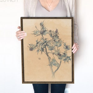 Vintage Thistle Print | Sage Green Wall Art | Coquette Room Decor | Vintage Art Prints | Botanical Watercolor | Nettle Print | 398