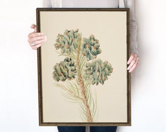 Pine Cone | Pine Tree Branch | Sage Green Wall Art | Botanical Print | Watercolor Print | Christmas Decor | Instant Download | 303