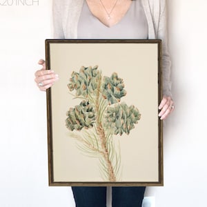 Pine Cone | Pine Tree Branch | Sage Green Wall Art | Botanical Print | Watercolor Print | Christmas Decor | Instant Download | 303