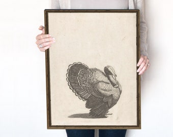 Turkey Sketch | Thanksgiving Decor | Fall Decor | Vintage Print | Neutral Drawing | Kitchen Wall Art | 350