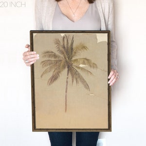 May include: A framed print of a vintage photograph of a palm tree on a beige background. The print is 16x20 inches.