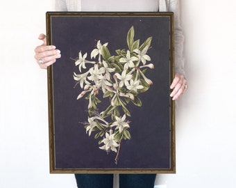 Vintage White Flower Dark Background Oil Painting, Coquette Room Decor | Azaleas Branch Dark and Moody Botanical Print | Printable | 183