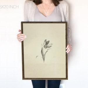May include: A framed black and white botanical illustration of a single tulip with a light beige background. The frame is brown wood with a simple design. The image is 16x20 inches.