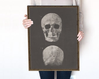 Skull Decor | Halloween Poster | Skull Printable | Spooky Wall Decor | Dark Wall Art | Halloween Print | Printable | 324