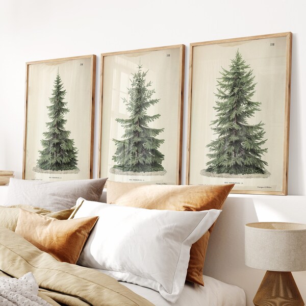 Conjunto de árbol de Navidad de 3 impresiones / Arte de pared imprimible / Impresión vintage de pino / Arte de invierno / Decoración navideña / Verde esmeralda