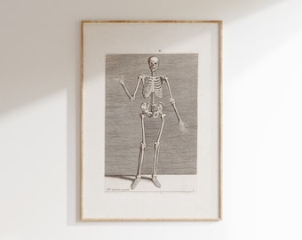 May include: Framed vintage anatomical illustration of a human skeleton. The black and white print depicts a detailed skeletal structure with outstretched arms, set against a textured background. The artwork is encased in a gold-toned frame.
