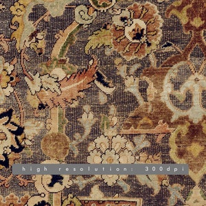 Peut inclure: Gros plan sur un tapis vintage avec un motif floral complexe dans des tons de marron, beige, vert et bleu. Le tapis a un aspect vieilli, avec une usure visible. Le texte "haute r&eacute;solution : 300 dpi" est visible.
