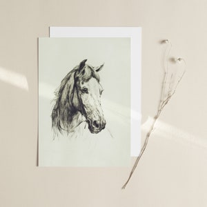 May include: A black and white pencil drawing of a horse's head. The horse is looking to the side and has a long mane.
