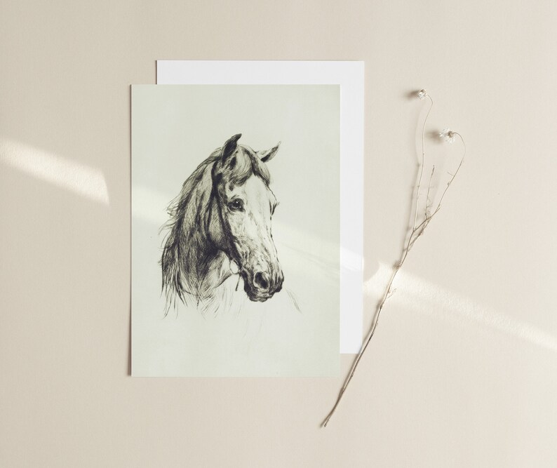 May include: A black and white pencil drawing of a horse's head. The horse is looking to the side and has a long mane.