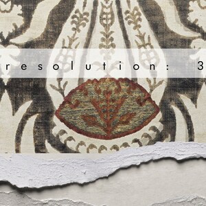 May include: Close-up of a fabric with a repeating pattern of stylized flowers and leaves in shades of brown, gold, and white. The fabric has a distressed, torn edge. The text "high resolution: 300 dpi" is visible at the top of the image.