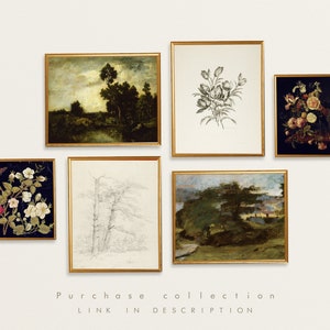 May include: A collection of five framed art prints, including a landscape scene with trees and a river, a black and white floral illustration, a black and white sketch of trees, a landscape scene with a tree and a house, and a floral still life with pink and white flowers.
