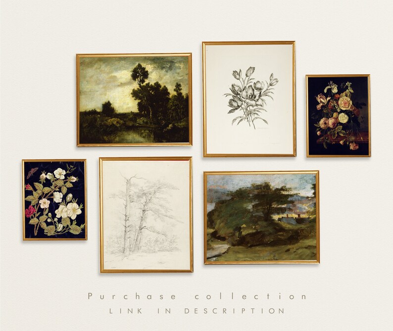 May include: A collection of five framed art prints, including a landscape scene with trees and a river, a black and white floral illustration, a black and white sketch of trees, a landscape scene with a tree and a house, and a floral still life with pink and white flowers.
