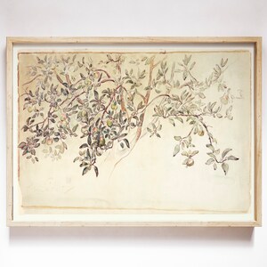 May include: A framed watercolor painting of a tree branch with green leaves and small, light green fruit. The painting is on a light beige background and is framed in a light wood frame.