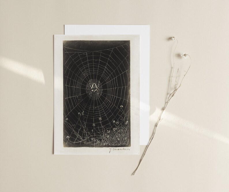 May include: A black and white illustration of a spider web with a spider in the center. The web is surrounded by small white flowers. The image is signed "J. Monckton".