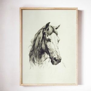 May include: A black and white drawing of a horse's head, framed in a light wood frame.