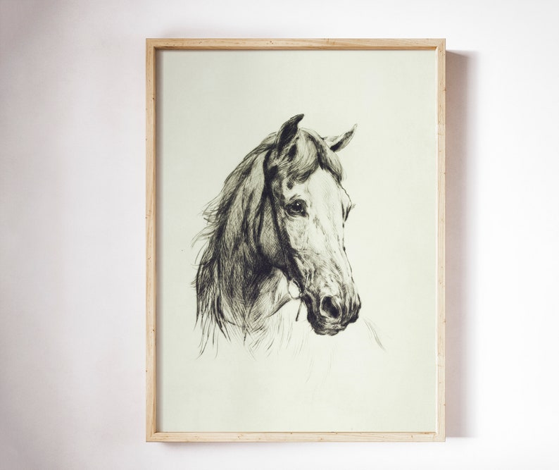 May include: A black and white drawing of a horse's head, framed in a light wood frame.