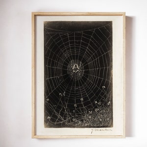 May include: A black and white print of a spider web with a spider in the center. The web is surrounded by small white flowers. The print is framed in a light wood frame and signed "J. Manhes".