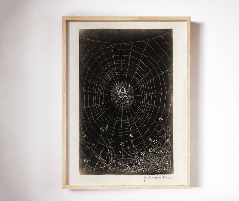 May include: A black and white print of a spider web with a spider in the center. The web is surrounded by small white flowers. The print is framed in a light wood frame and signed "J. Manhes".