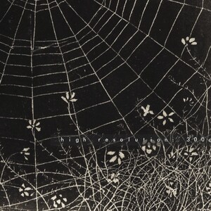 May include: A black and white photograph of a spider web with small white flowers in the foreground. The web is in focus and the flowers are out of focus. The text "high resolution: 300 dpi" is visible at the bottom of the image.