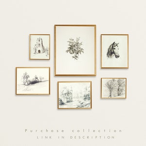 May include: A collection of six framed black and white drawings, including a church, a horse, trees, and flowers. The frames are gold and the drawings are on white paper.