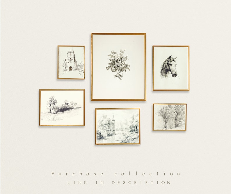 May include: A collection of six framed black and white drawings, including a church, a horse, trees, and flowers. The frames are gold and the drawings are on white paper.