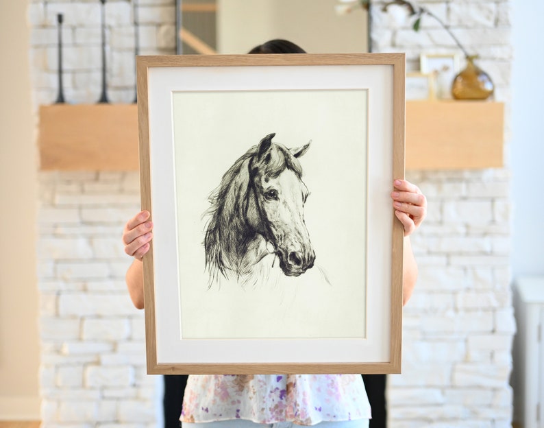 May include: A framed black and white drawing of a horse's head. The horse has a white face and a dark mane and tail.