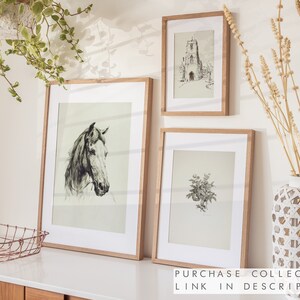 May include: Three framed black and white illustrations on a white wall. The illustrations are of a horse, a building, and a plant. The frames are all wooden and have a natural finish.