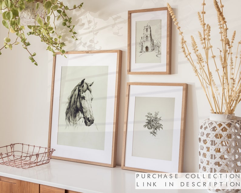 May include: Three framed black and white illustrations on a white wall. The illustrations are of a horse, a building, and a plant. The frames are all wooden and have a natural finish.