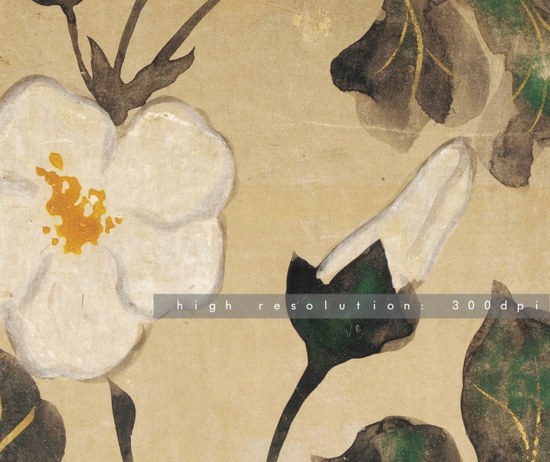 White Flower Painting | Modern Farm House Wall Art | Coquette Room Decor | Vintage Print | Instant Download | 479 image 6