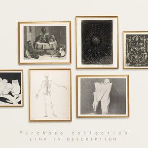 May include: A collection of eight vintage black and white prints framed in gold. The prints depict various subjects including a skeleton, a spider web, a group of owls, and a group of cats.
