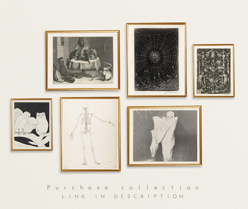 May include: A collection of eight vintage black and white prints framed in gold. The prints depict various subjects including a skeleton, a spider web, a group of owls, and a group of cats.