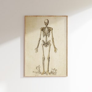 Druckbare Skelett Wand Kunst | Halloween Printable | Skelett Druck | Vintage Halloween Dekor | 622