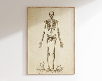 Printable Skeleton Wall Art | Halloween Printable | Skeleton Print | Vintage Halloween Decor | 622