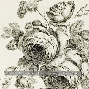 Rose Drawing | Coquette Room Decor | Bouquet with Roses | Floral Sketch | Vintage Flower Print | 1700s Art | Instant Download | 284 image 3