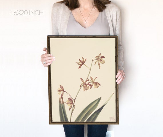 Ameri UND SKETCH FLOWER SKIN DRESS Europe And America Black And