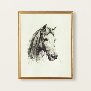 May include: A black and white drawing of a horse's head in a gold frame.