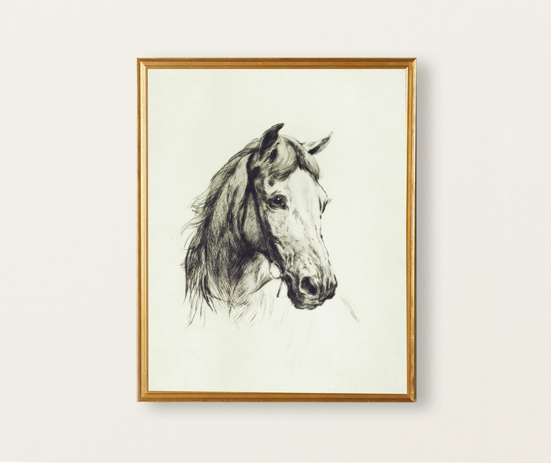 May include: A black and white drawing of a horse's head in a gold frame.
