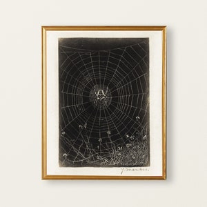May include: A black and white print of a spider web with a spider in the center. The web is surrounded by small white flowers and the print is framed in a gold frame. The artist's signature, "J. Manches", is in the bottom right corner.