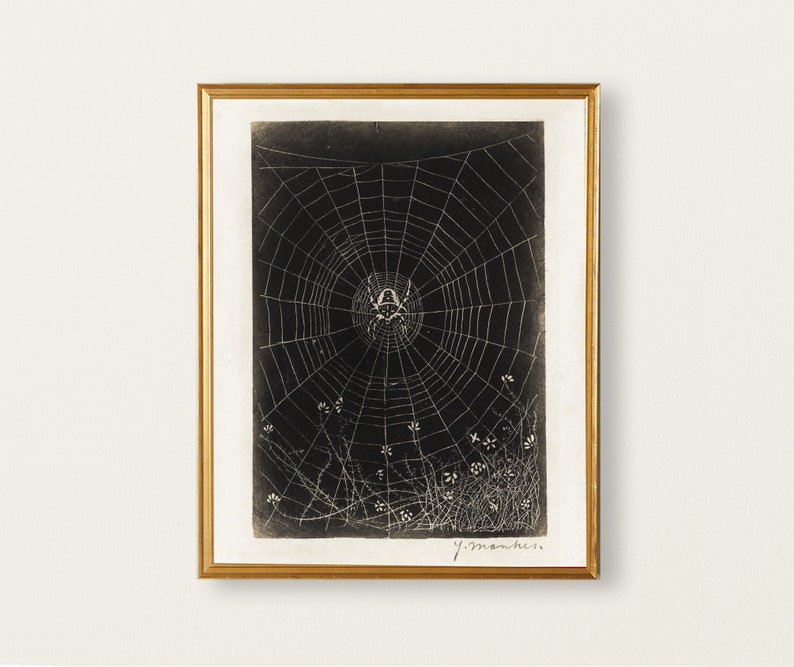 May include: A black and white print of a spider web with a spider in the center. The web is surrounded by small white flowers and the print is framed in a gold frame. The artist's signature, "J. Manches", is in the bottom right corner.