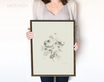 Vintage Peony Sketch, Coquette Room Decor, Black and White floral drawing, Neutral Floral Bouquet, Digital Download, Printable | 88