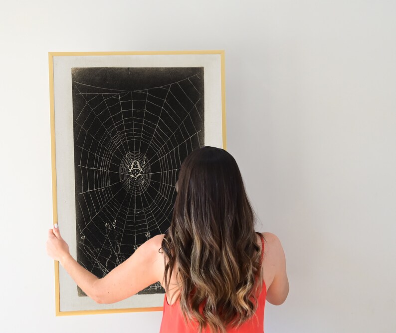 May include: A framed black and white print of a spider web with a spider in the center. The print is hanging on a white wall. A person is adjusting the frame.