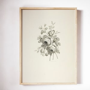Rose Drawing | Coquette Room Decor | Bouquet with Roses | Floral Sketch | Vintage Flower Print | 1700s Art | Instant Download | 284 image 8