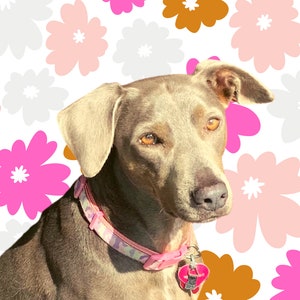 Retro Floral Pet Portrait - Digital Download, Printable, Housewarming, City, Wall decor, Wall Art
