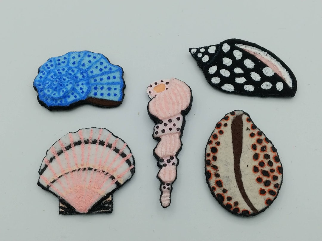 Sea Shell Magnets - Etsy