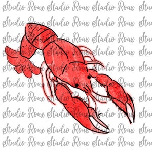 May include: A red watercolor illustration of a crawfish with black outlines. The crawfish is facing the right side of the image and has its claws raised.