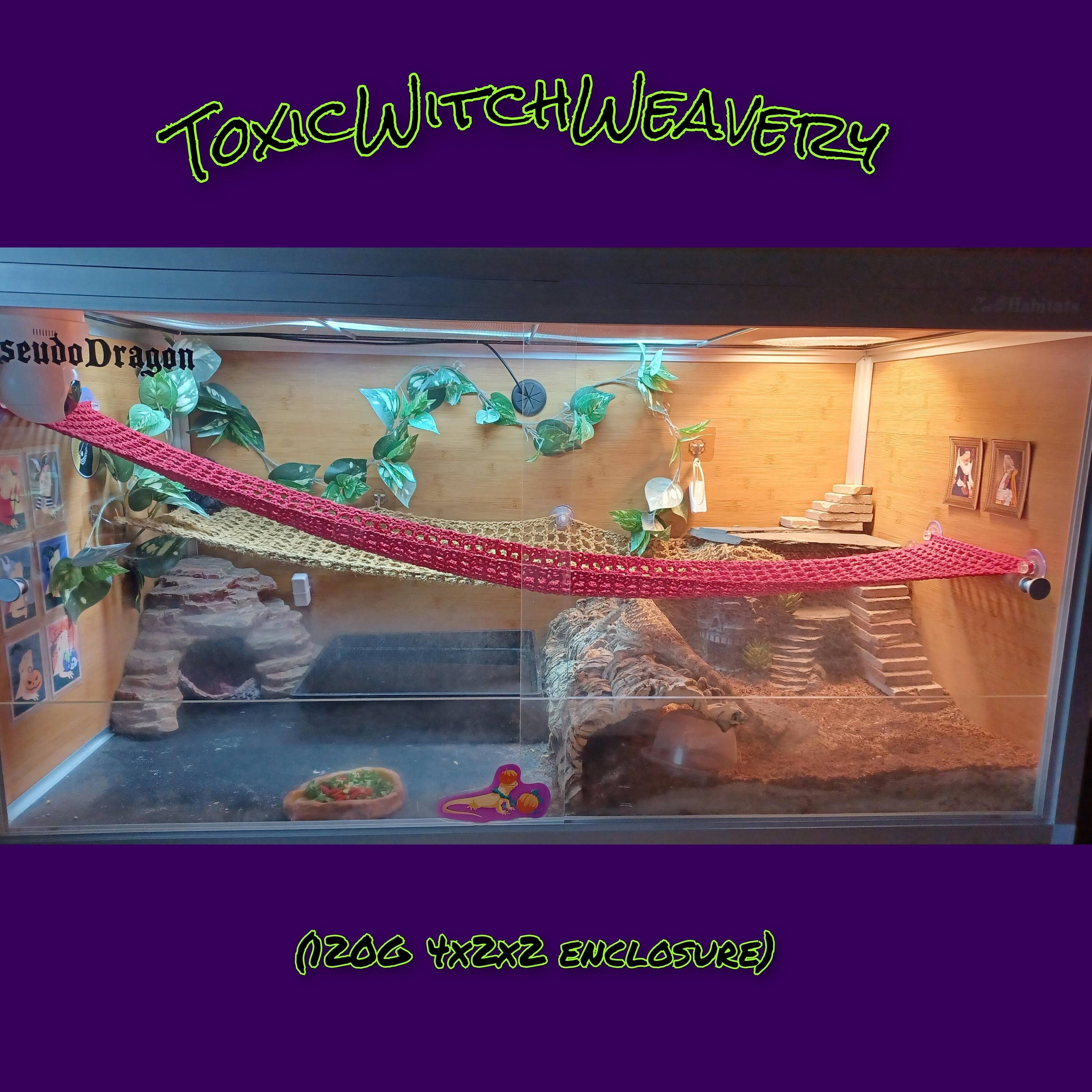 Custom built best sale bearded dragon enclosures