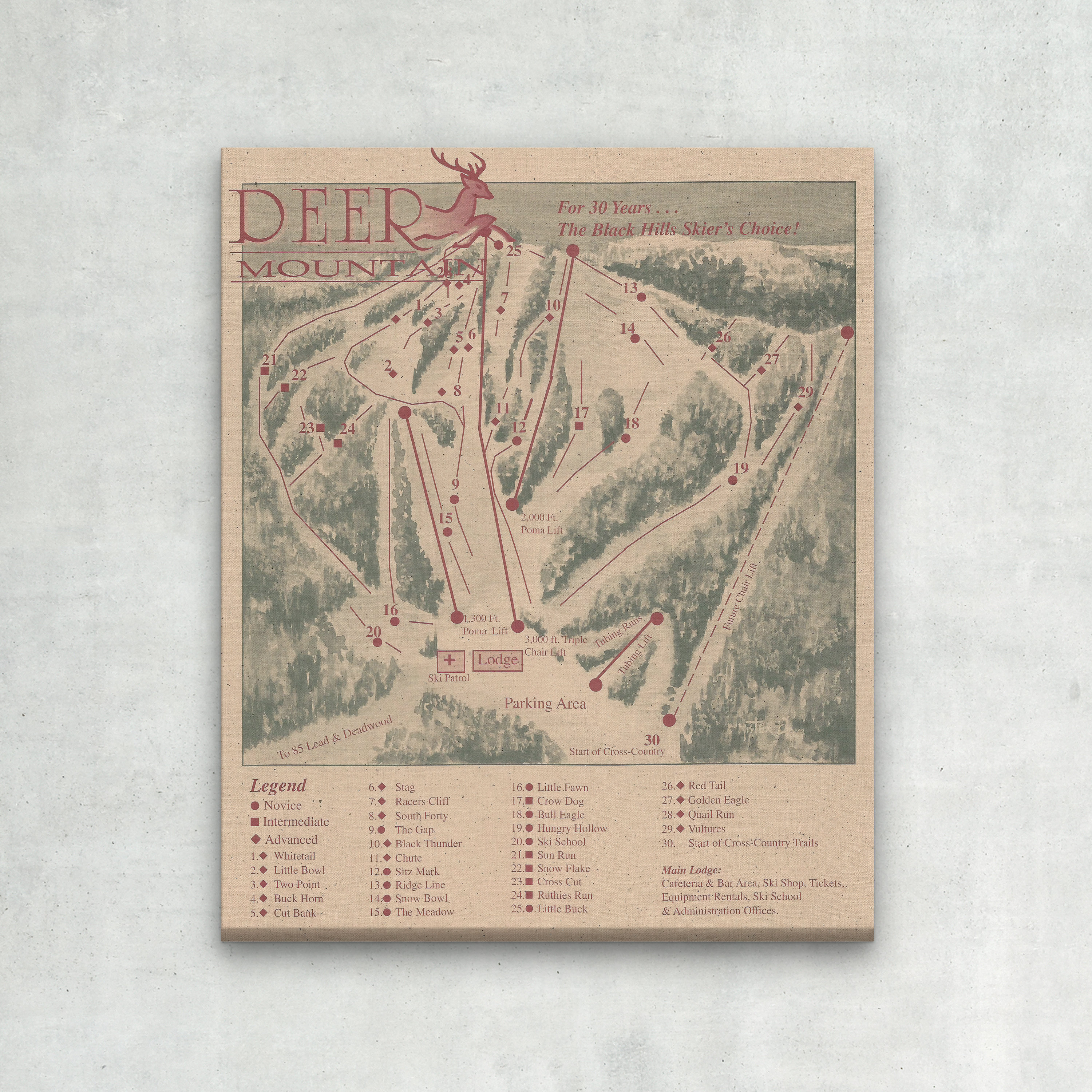 2004 Deer Mountain Ski Trail Map Canvas Print – Vintage South